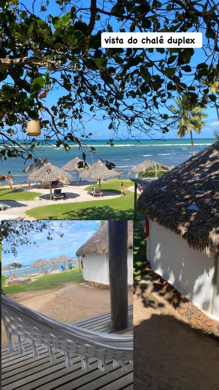 Pousada Farol Das Tartarugas Praia do Forte Eksteriør bilde