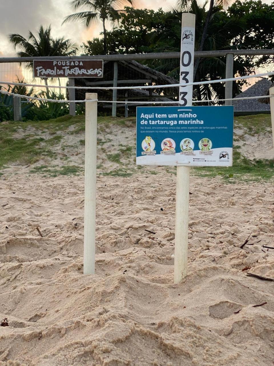Pousada Farol Das Tartarugas Praia do Forte Eksteriør bilde